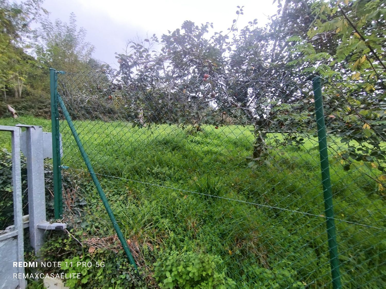 Fincas y solares-Venta-Pravia-1509198-Foto-2