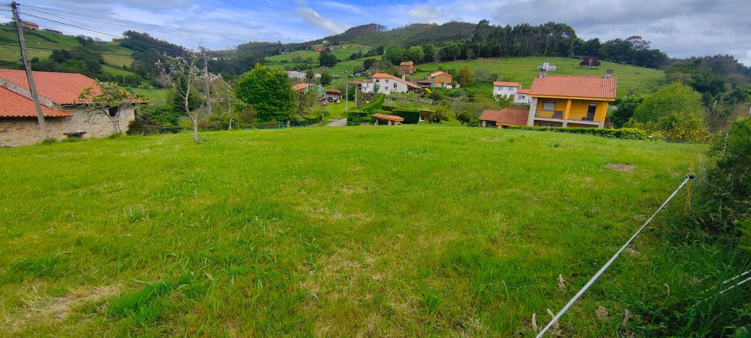 Fincas y solares-Venta-Villaviciosa-1103435-Foto-2