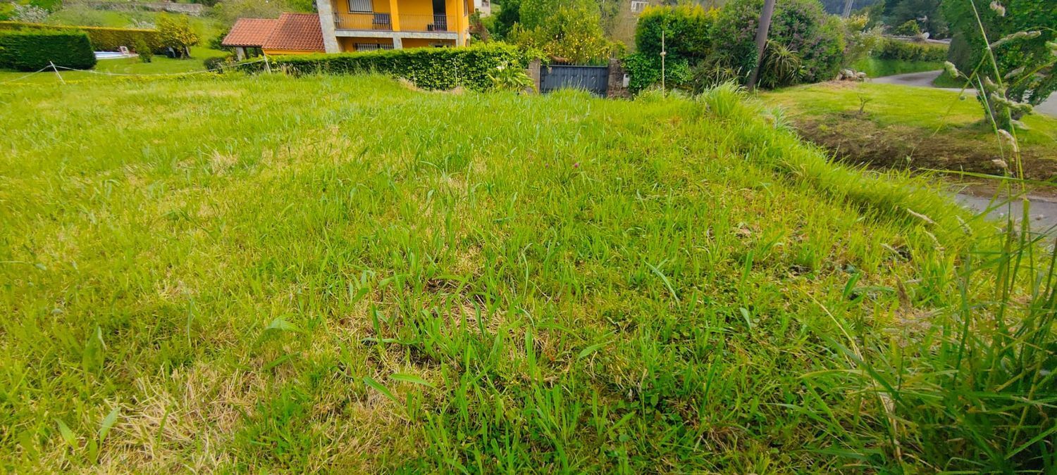 Fincas y solares-Venta-Villaviciosa-1103435-Foto-11