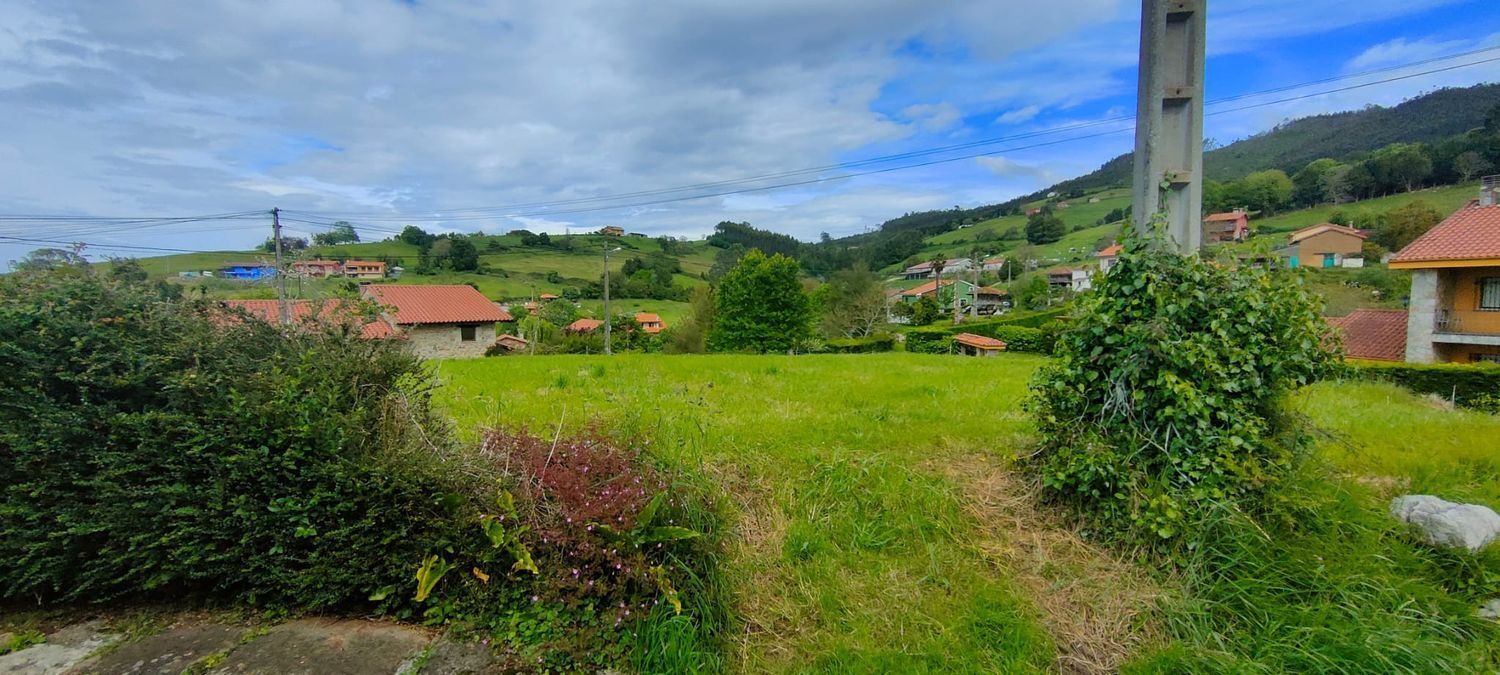 Fincas y solares-Venta-Villaviciosa-1103435-Foto-8