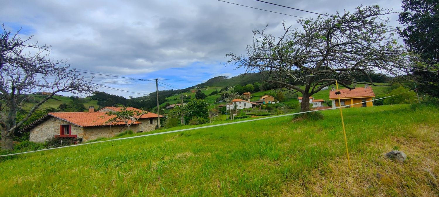 Fincas y solares-Venta-Villaviciosa-1103435-Foto-7