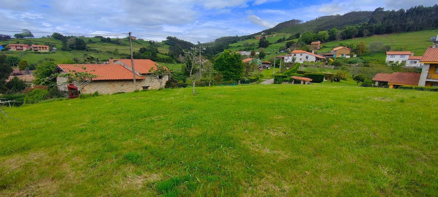 Fincas y solares-Venta-Villaviciosa-1103435-Foto-10
