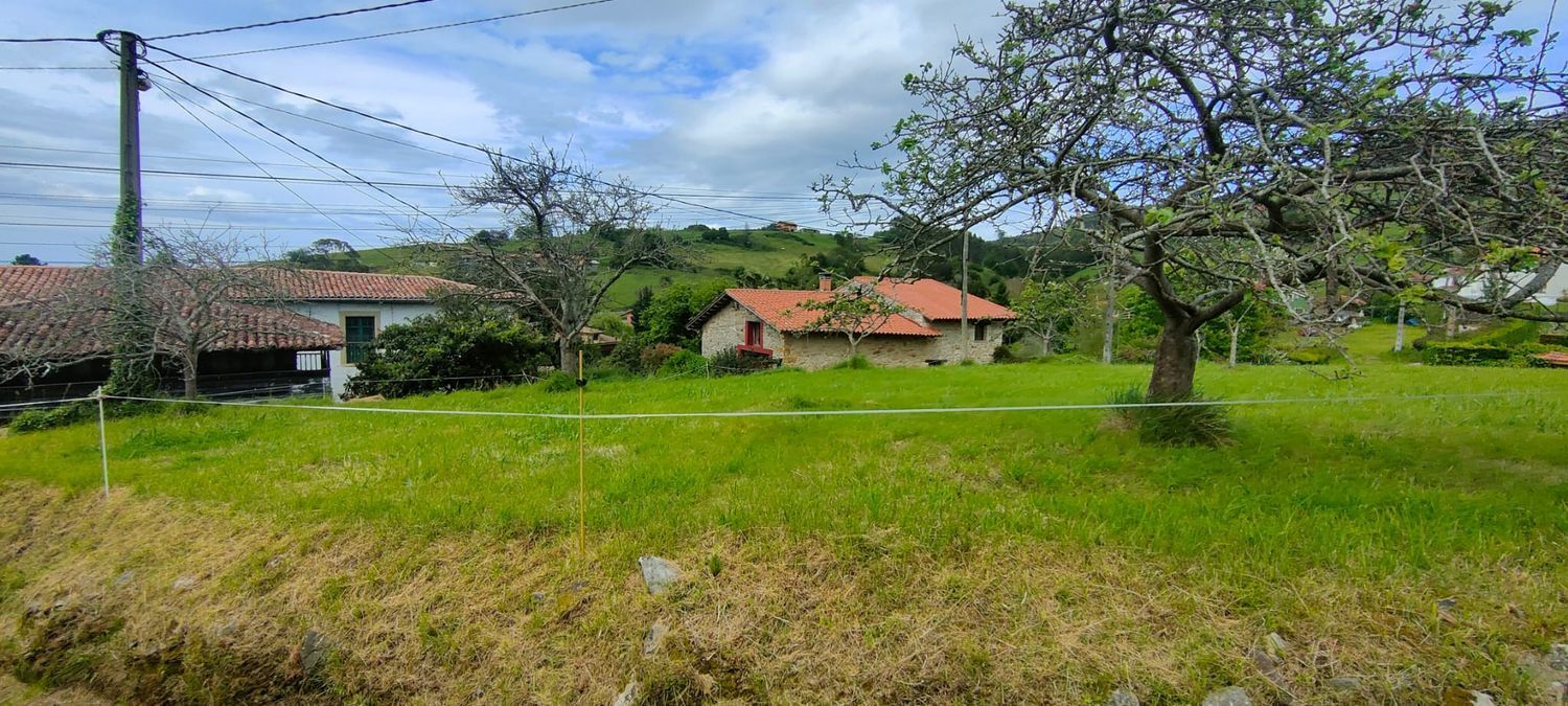 Fincas y solares-Venta-Villaviciosa-1103435-Foto-4