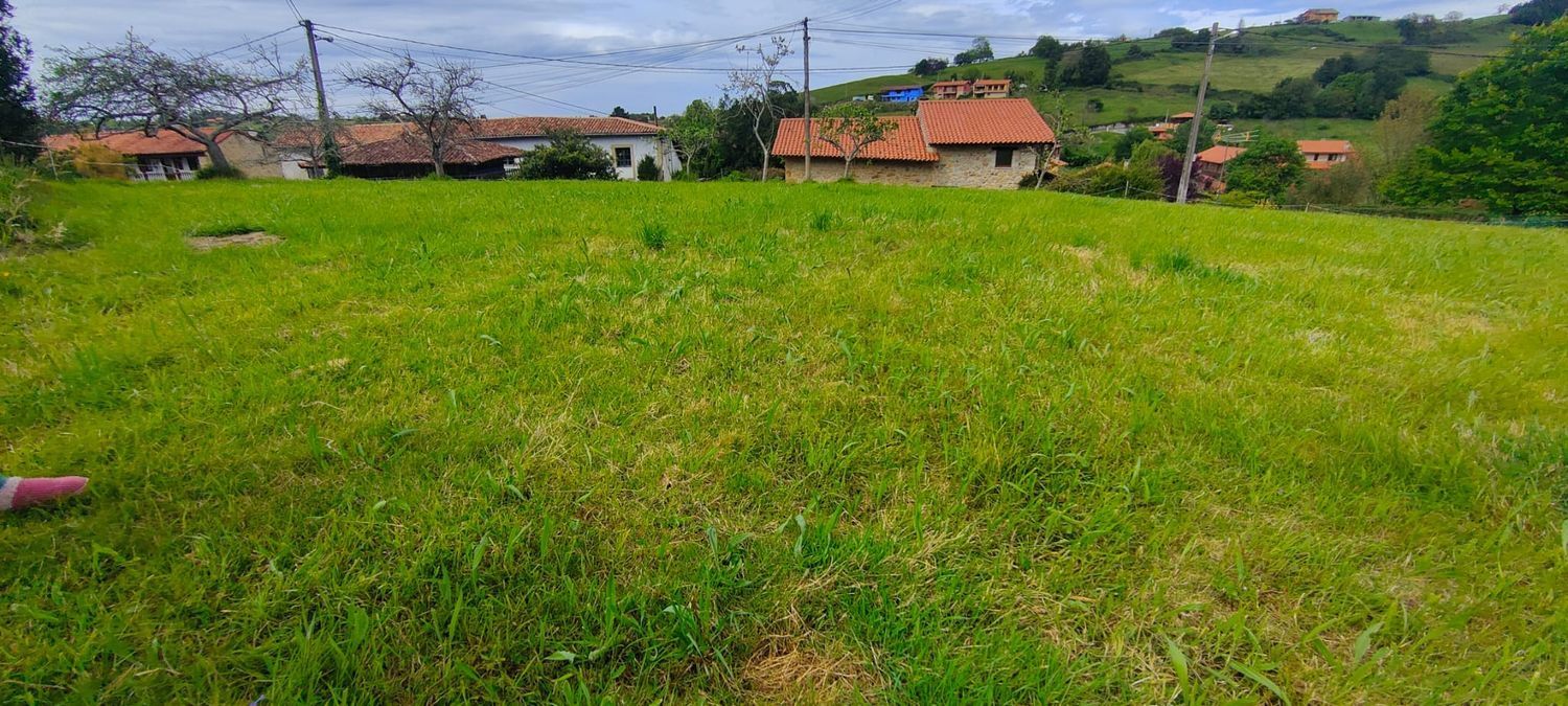 Fincas y solares-Venta-Villaviciosa-1103435-Foto-3