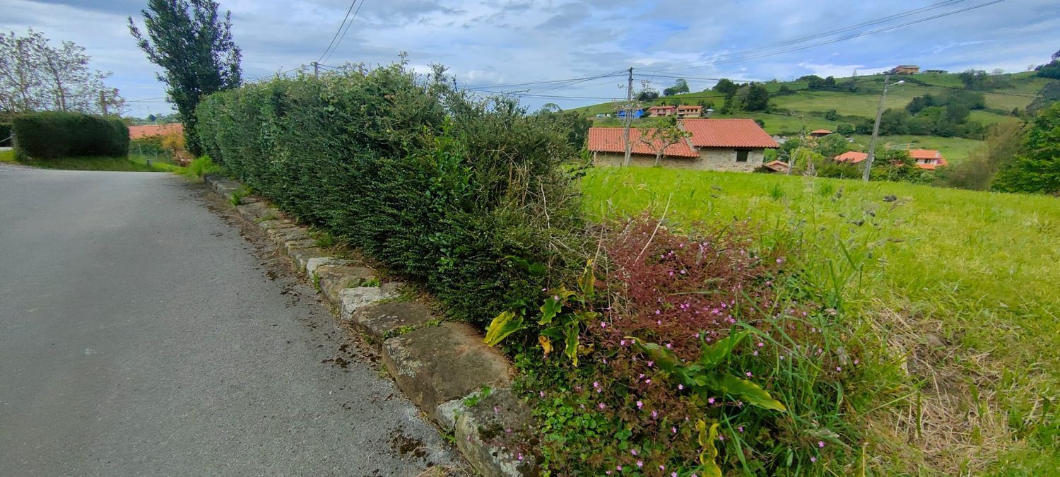 Fincas y solares-Venta-Villaviciosa-1103435-Foto-6