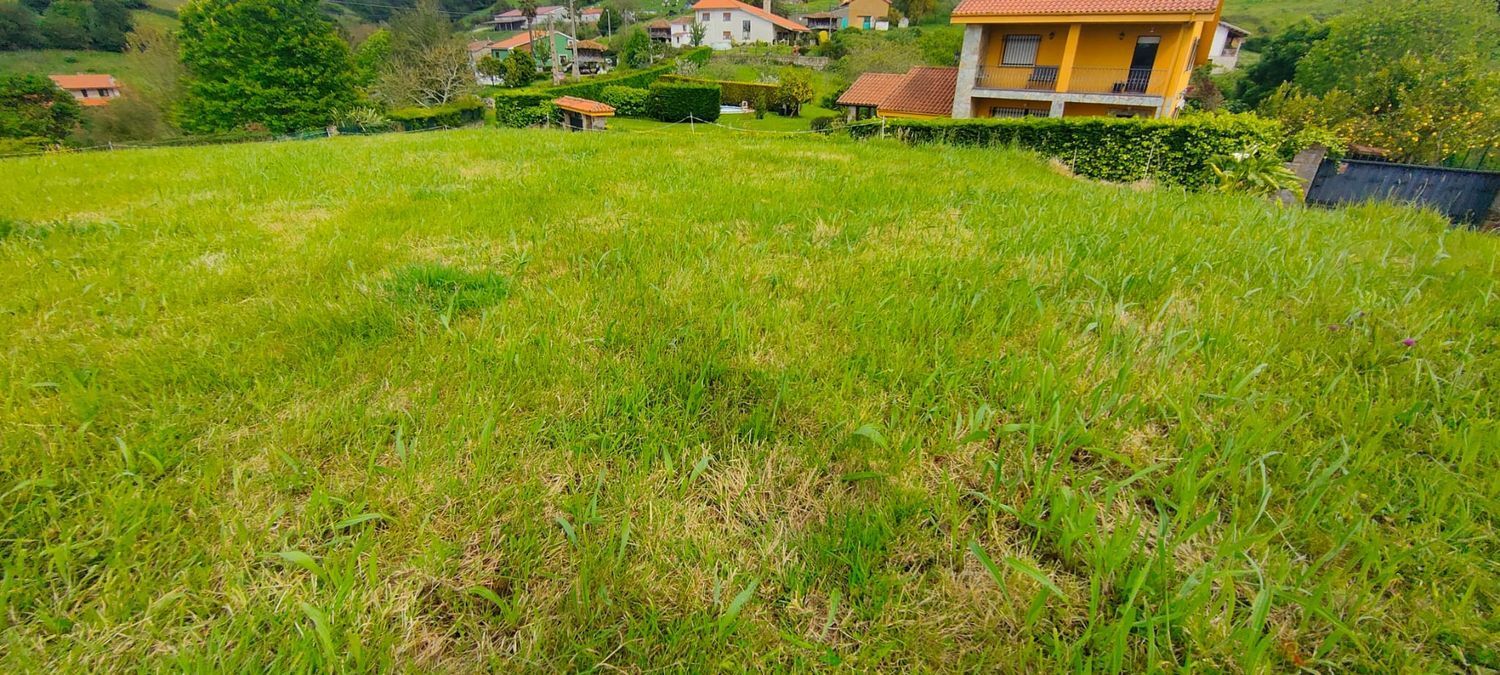 Fincas y solares-Venta-Villaviciosa-1103435-Foto-5
