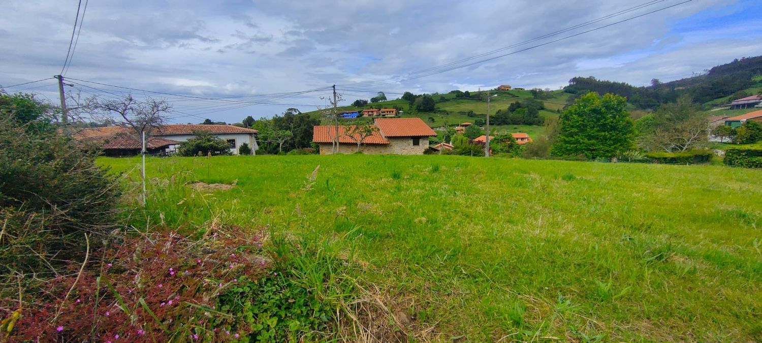 Fincas y solares-Venta-Villaviciosa-1103435-Foto-9