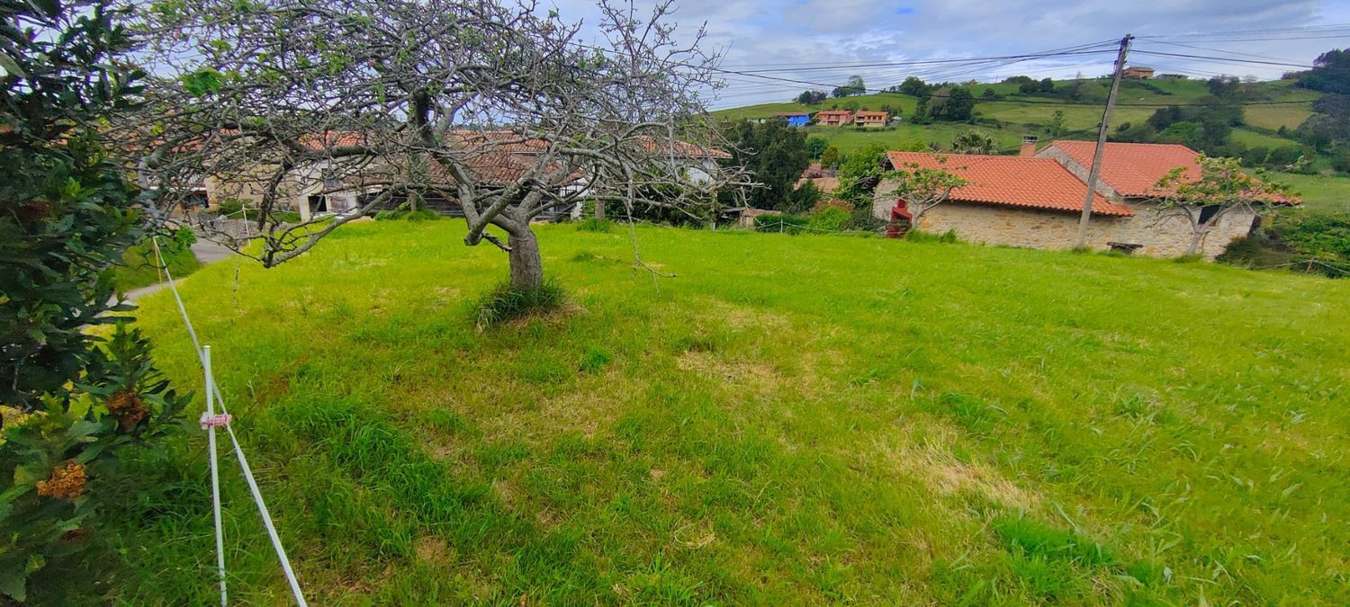 Fincas y solares-Venta-Villaviciosa-1103435-Foto-12