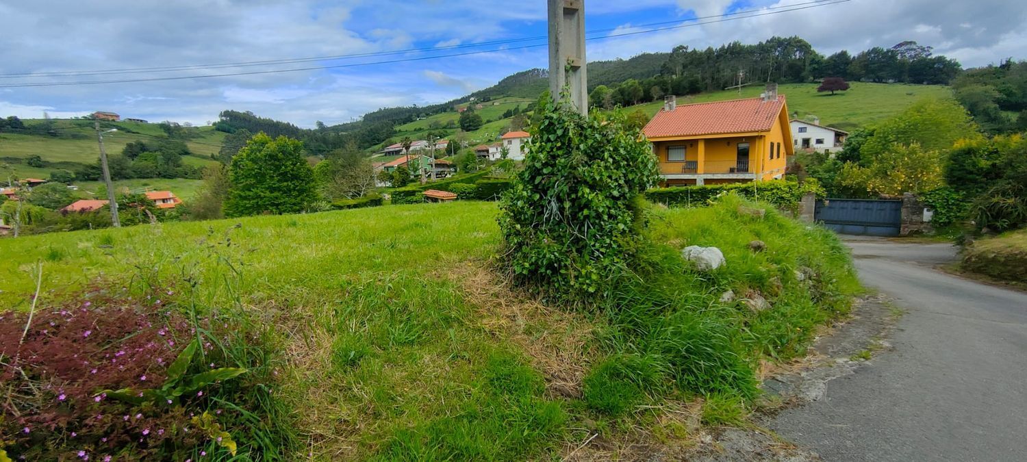 Fincas y solares-Venta-Villaviciosa-1103435-Foto-13