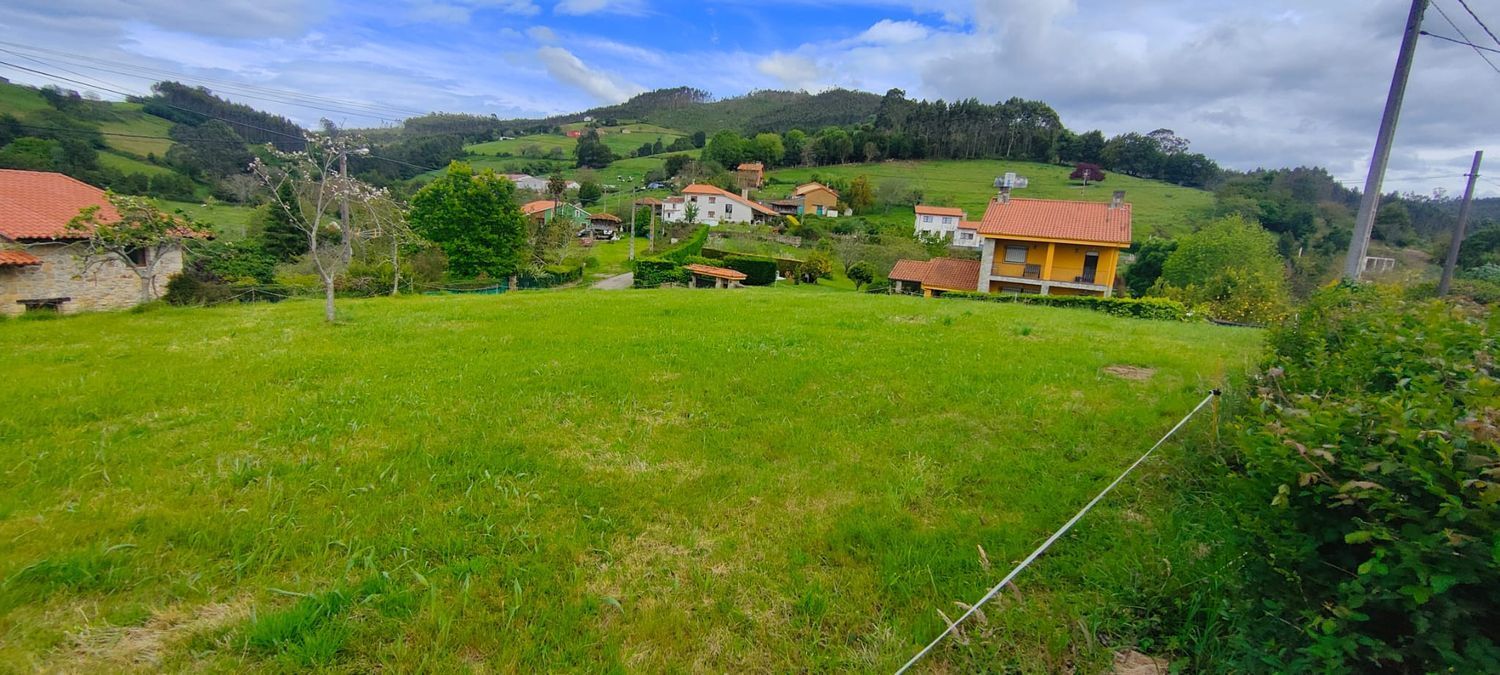 Fincas y solares-Venta-Villaviciosa-1103435-Foto-15