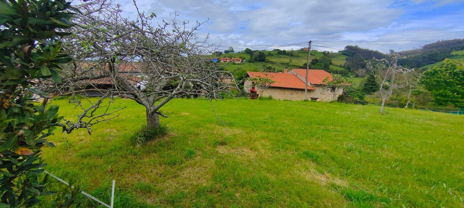 Fincas y solares-Venta-Villaviciosa-1103435-Foto-14