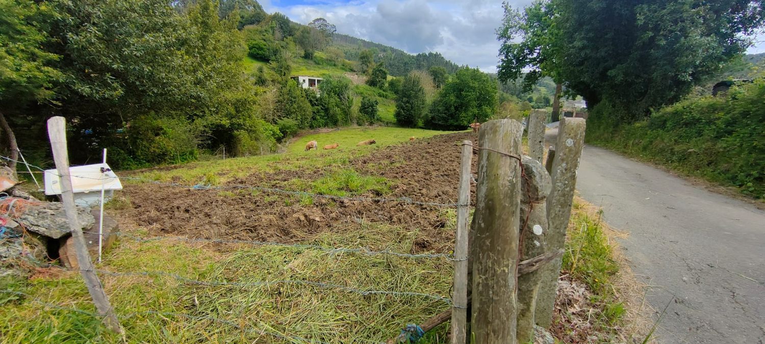 Fincas y solares-Venta-Villaviciosa-1102101-Foto-3