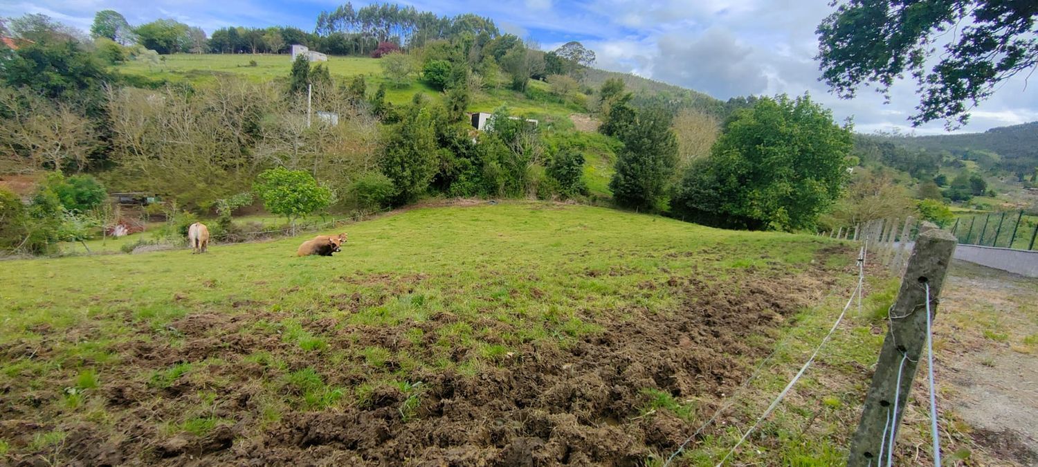 Fincas y solares-Venta-Villaviciosa-1102101-Foto-2
