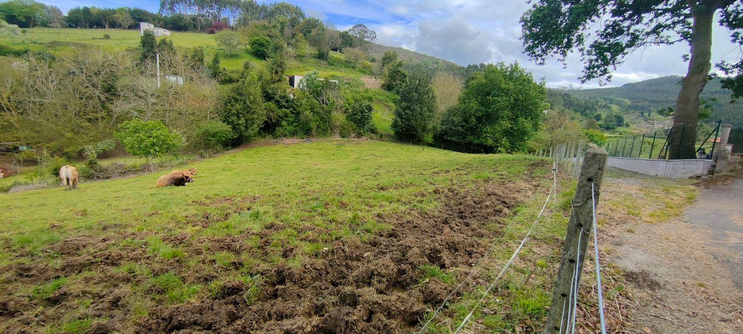 Fincas y solares-Venta-Villaviciosa-1102101-Foto-4