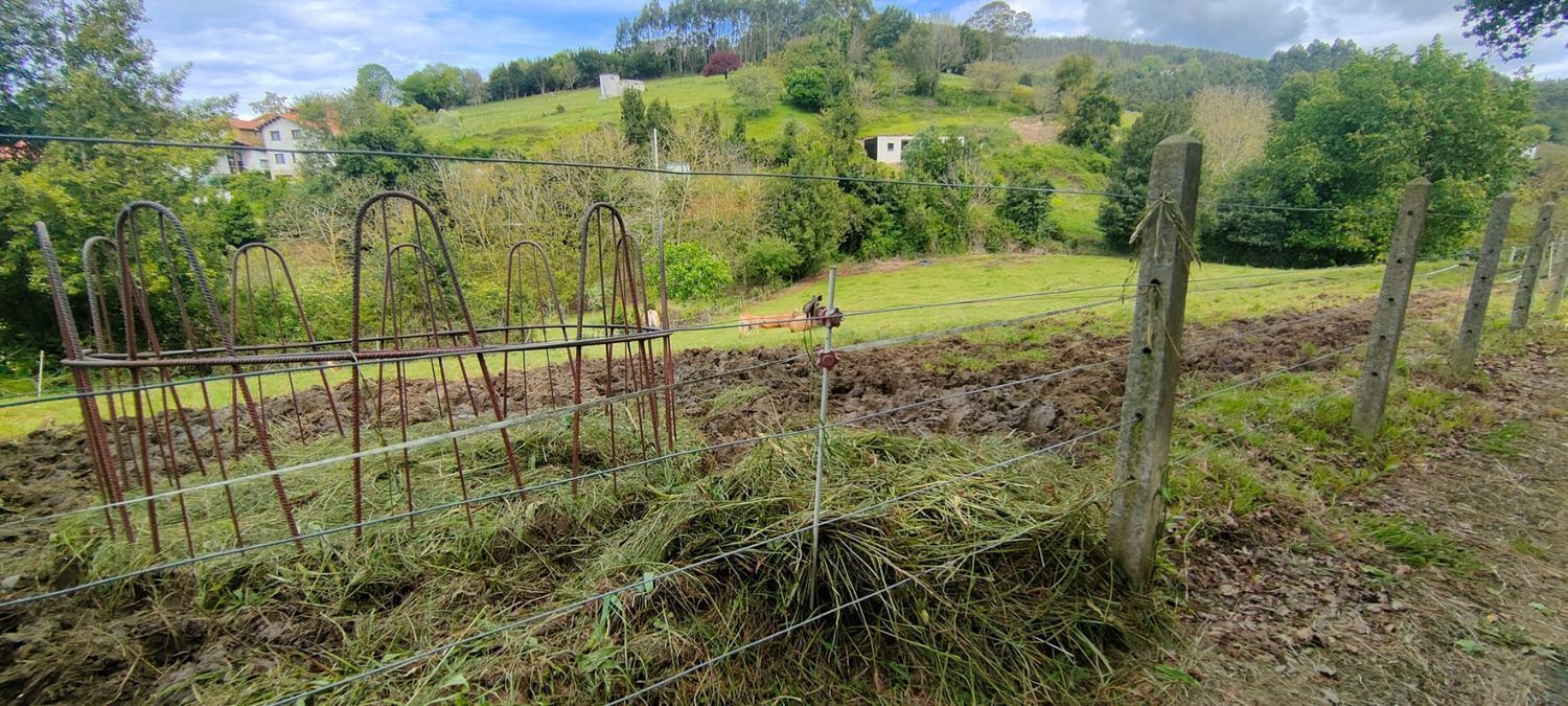 Fincas y solares-Venta-Villaviciosa-1102101-Foto-5