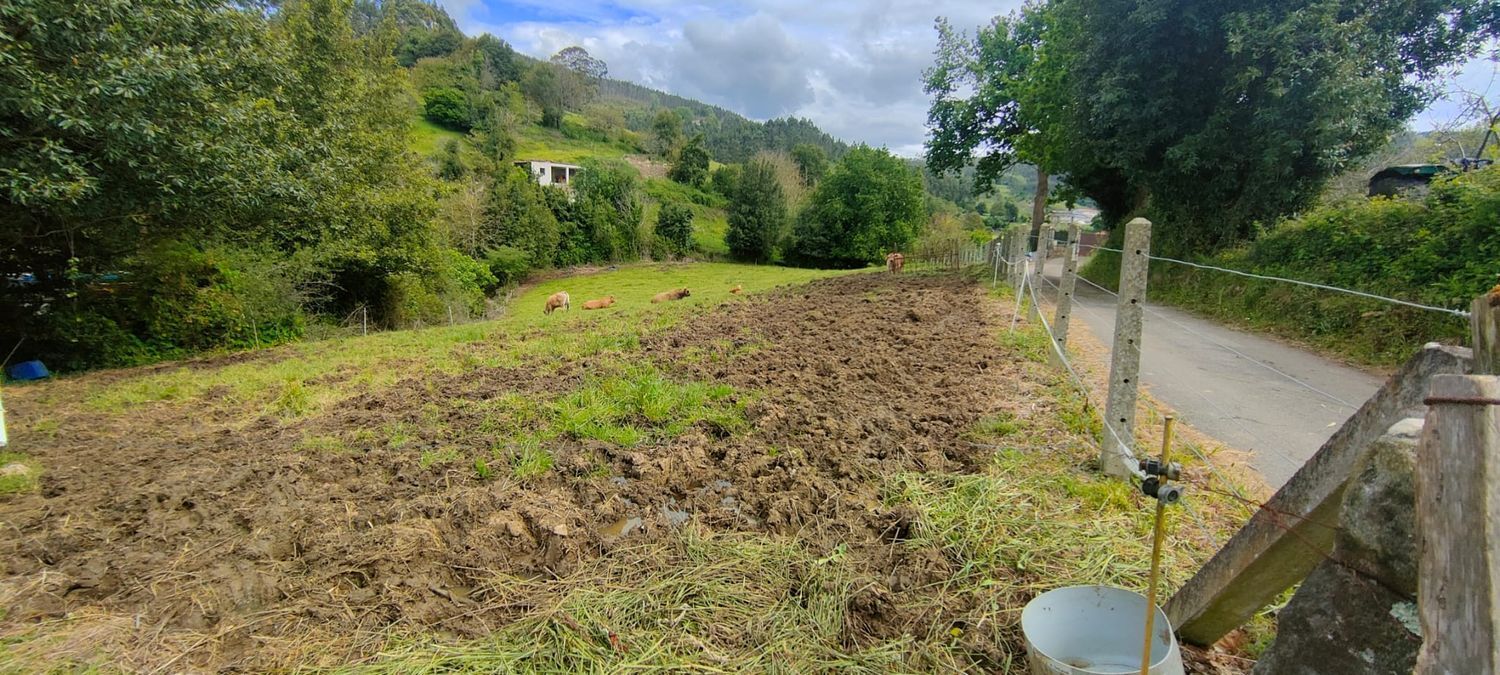 Fincas y solares-Venta-Villaviciosa-1102101-Foto-8