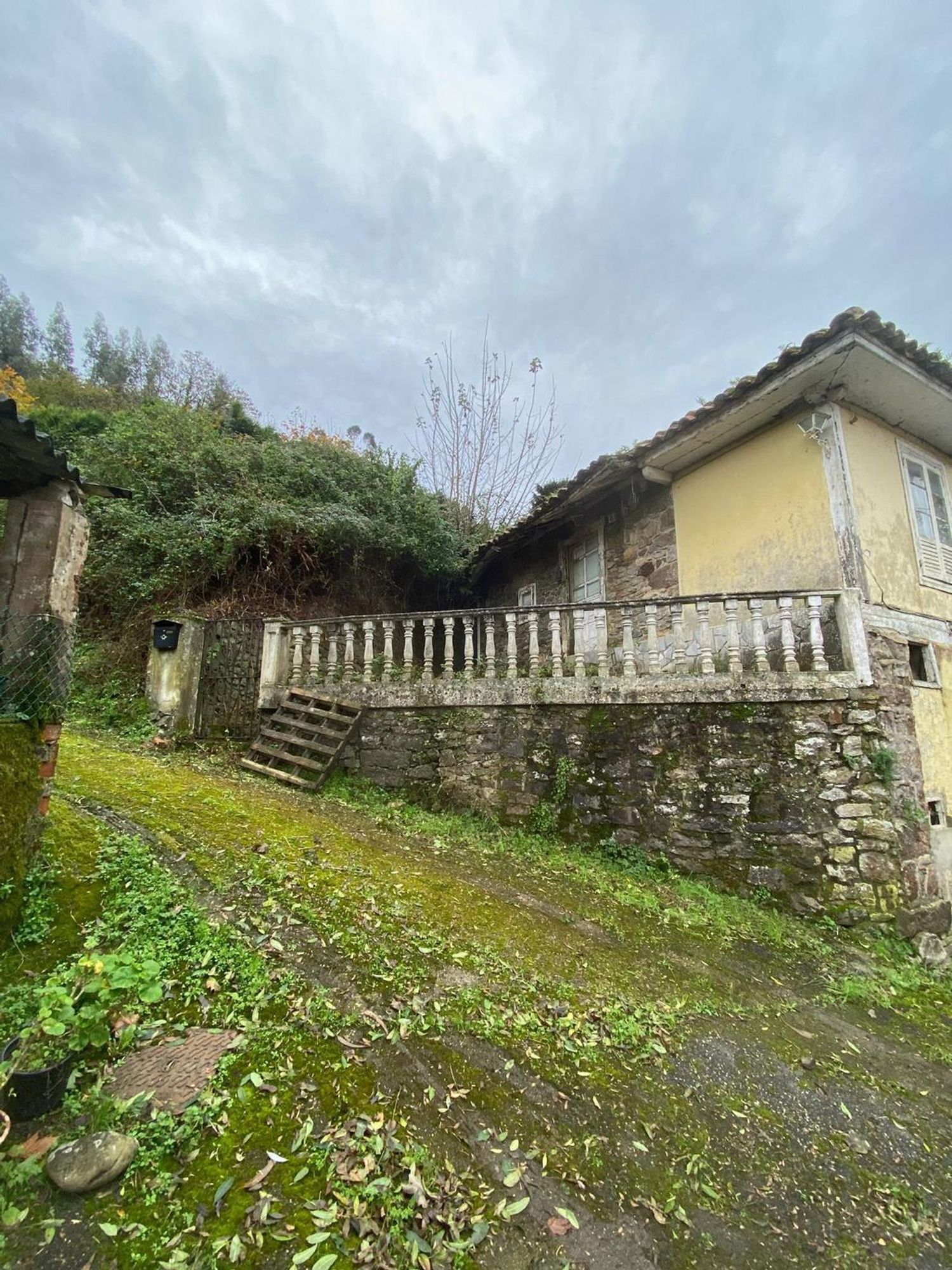 Casas o chalets-Venta-Pravia-1751783-Foto-2