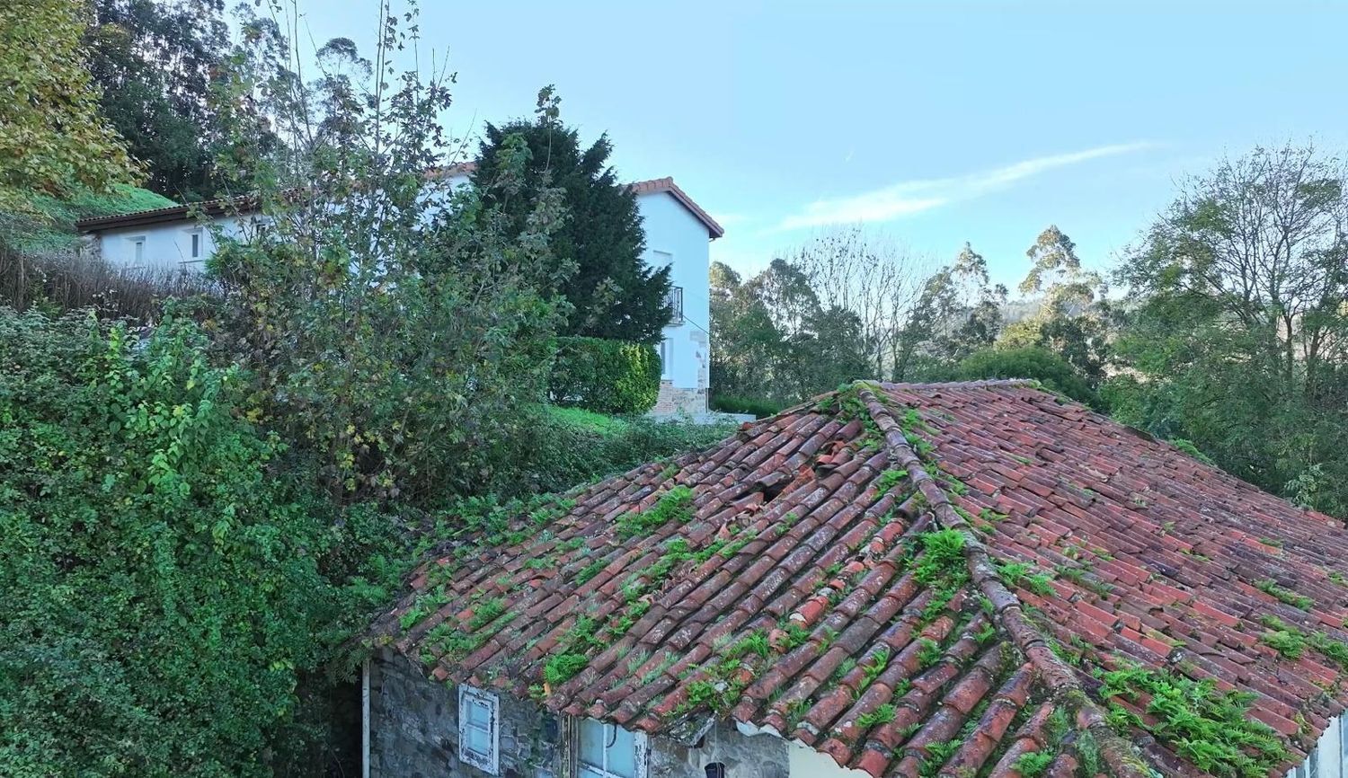 Casas o chalets-Venta-Pravia-1751783-Foto-16