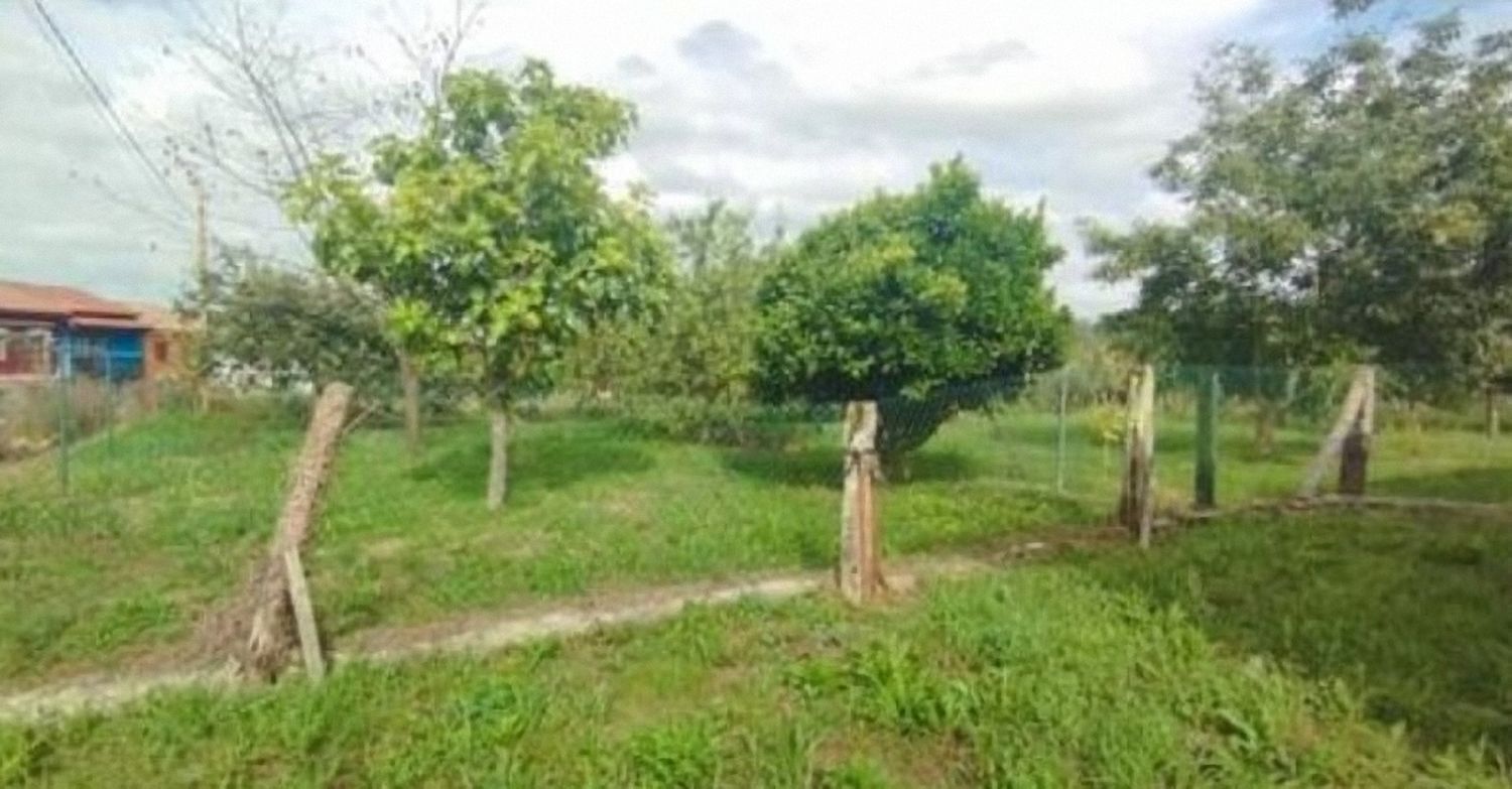 Naves-Alquiler-Siero-1028180-Foto-3
