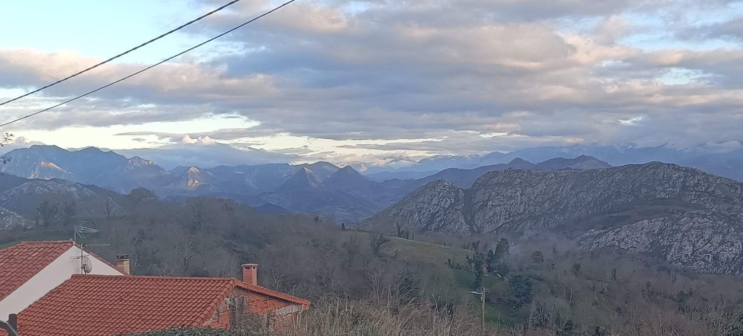 Casas o chalets-Venta-Parres-1834837-Foto-10