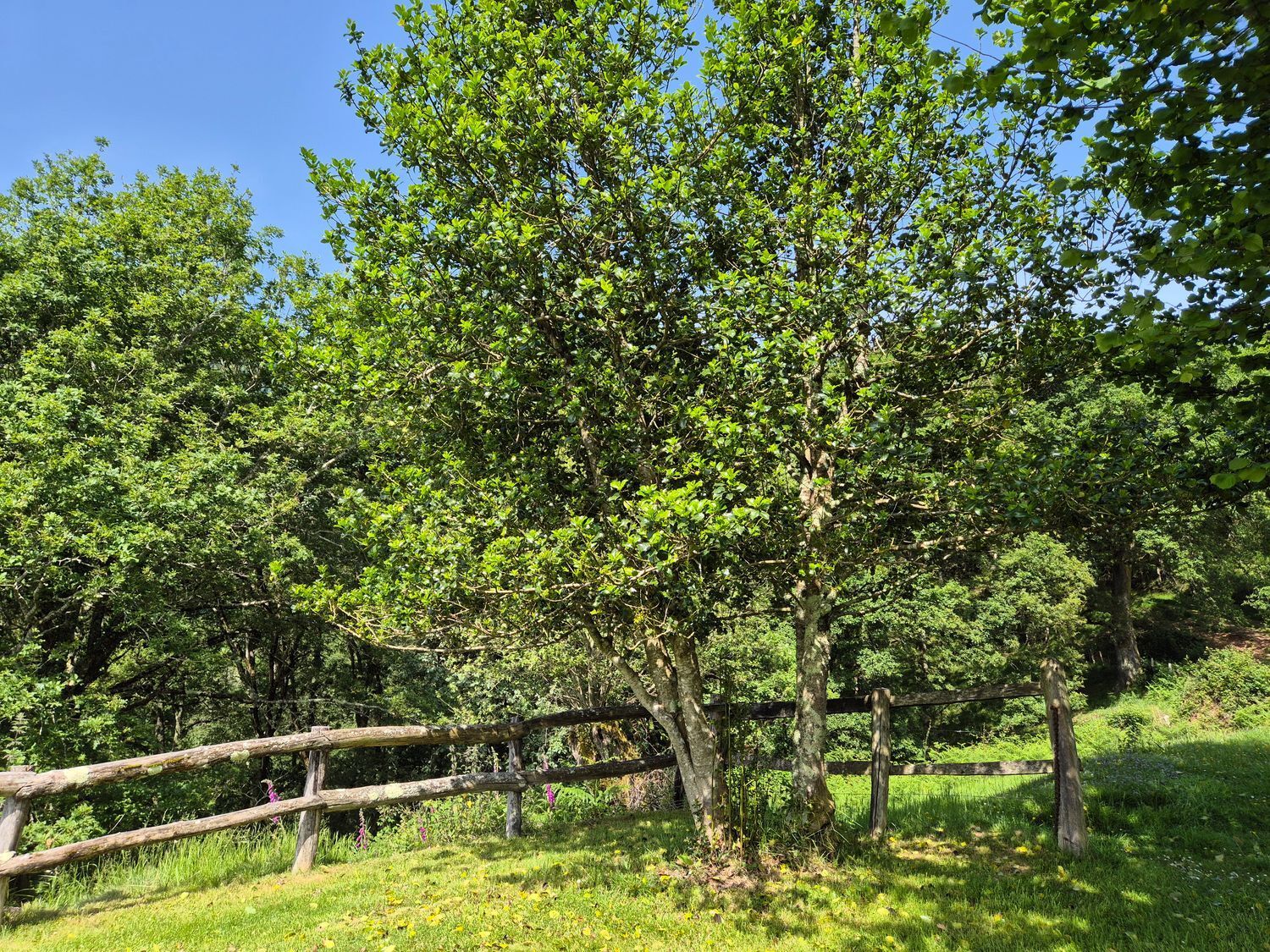 Casas o chalets-Venta-Las Navas del MarquÃ©s-1747628-Foto-40