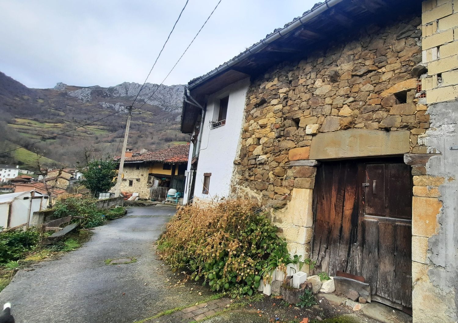 Casas o chalets-Venta-Caso-1722348-Foto-11