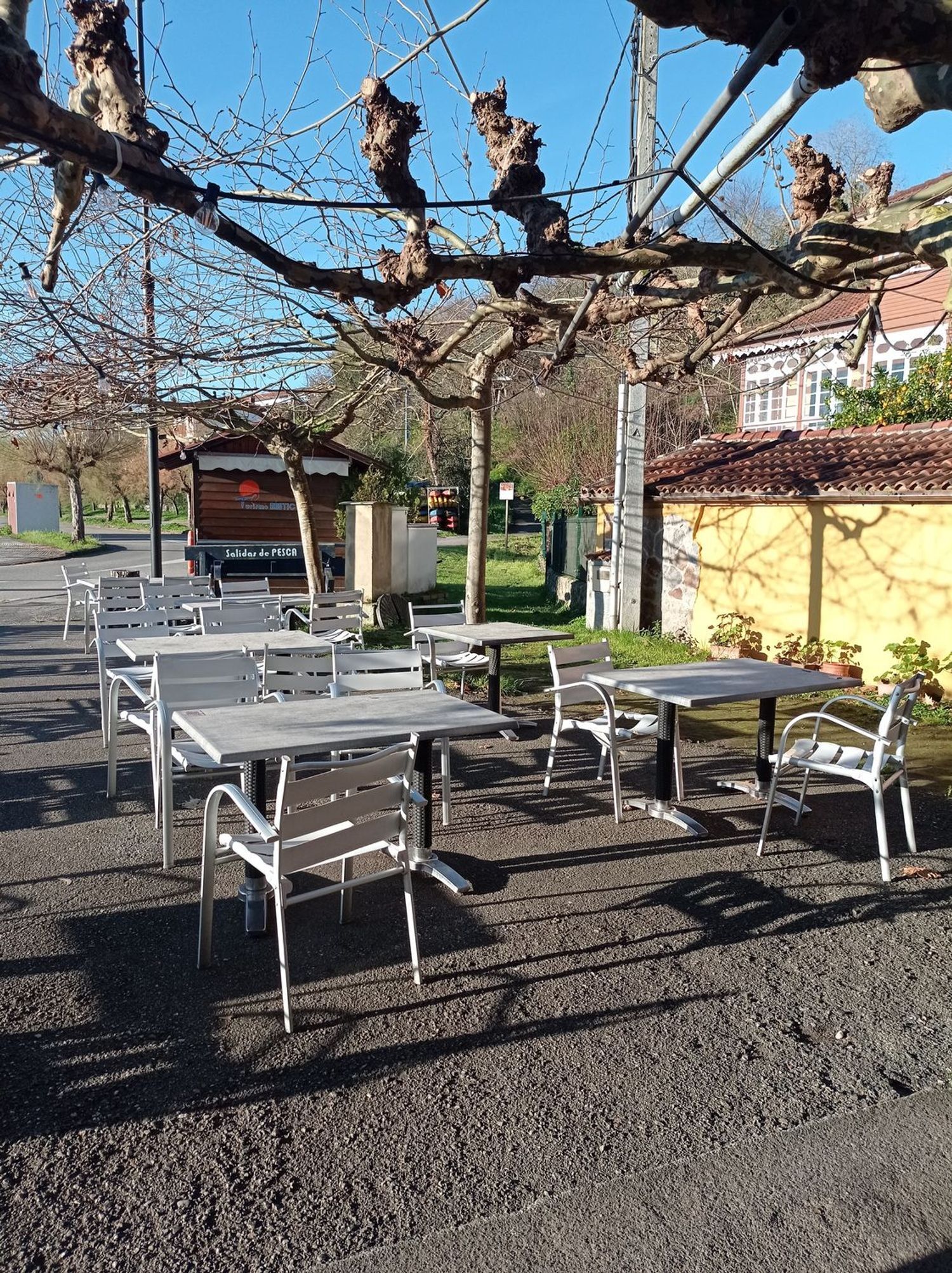 Casas o chalets-Venta-Villaviciosa-785386-Foto-9