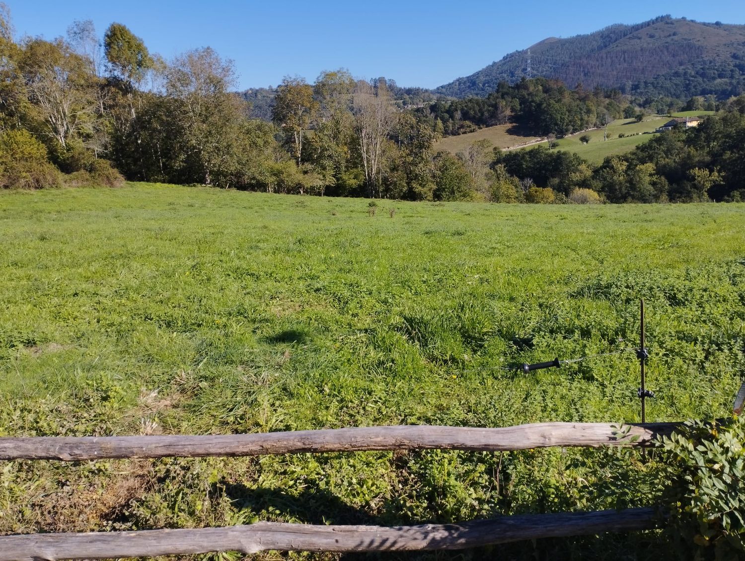 Fincas y solares-Venta-Las Navas del Marqués-1045028