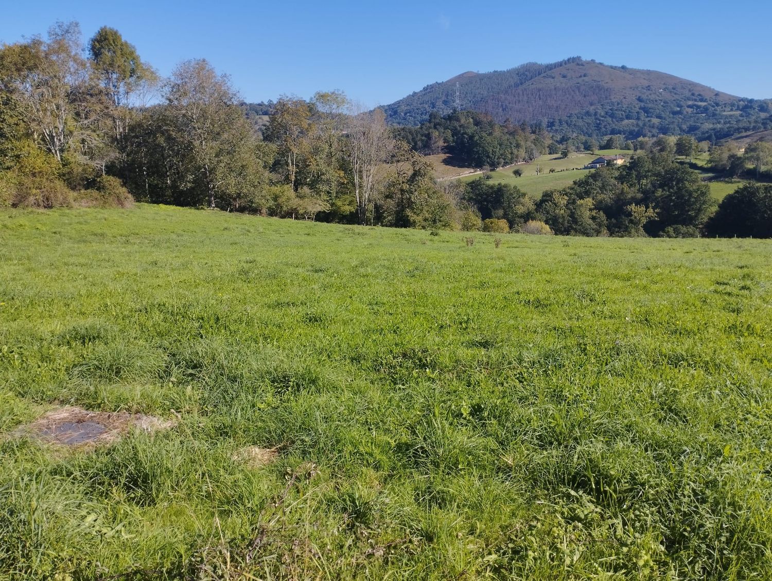 Fincas y solares-Venta-Las Navas del MarquÃ©s-1045028-Foto-12