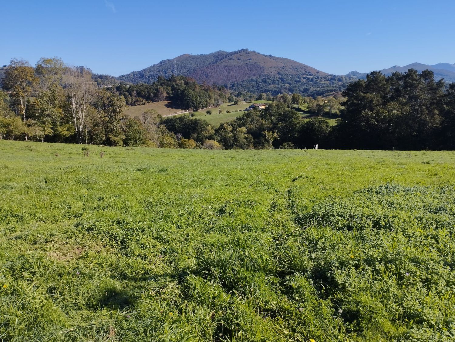 Fincas y solares-Venta-Las Navas del MarquÃ©s-1045028-Foto-21