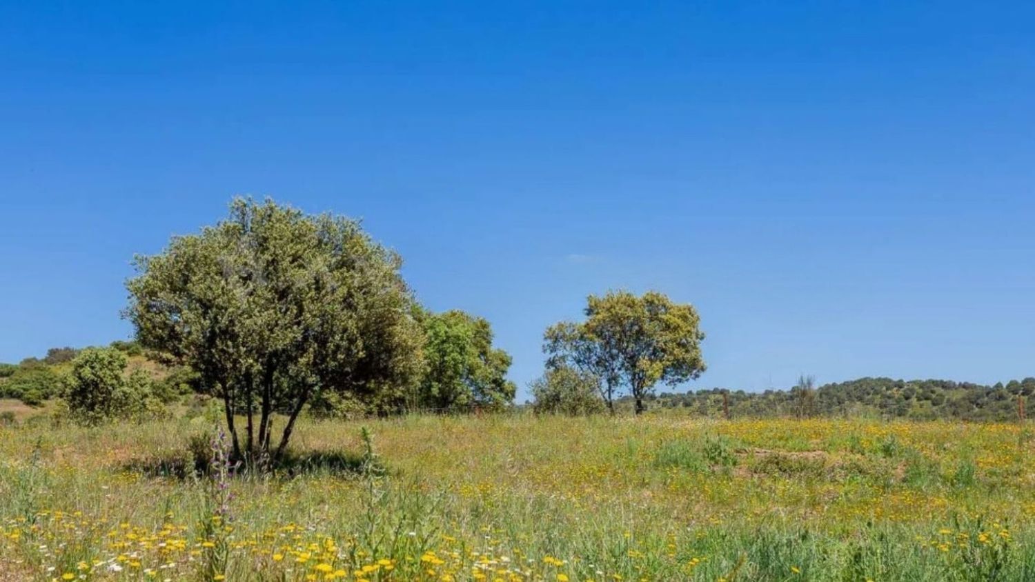 Casas o chalets-Venta-Valdemorillo-1633978-Foto-4