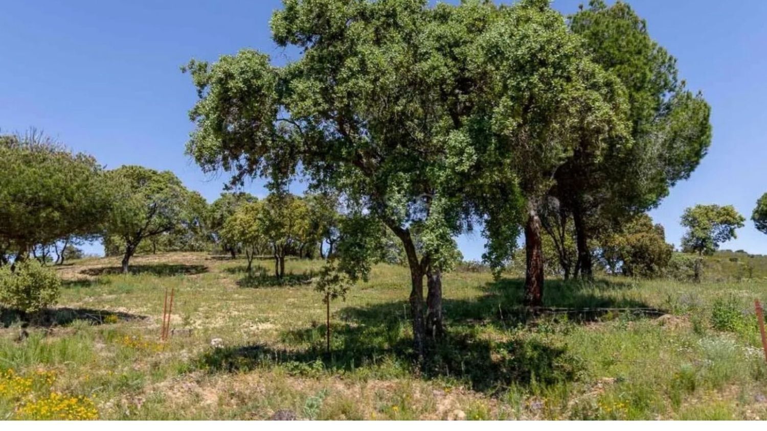 Casas o chalets-Venta-Valdemorillo-1633978-Foto-6