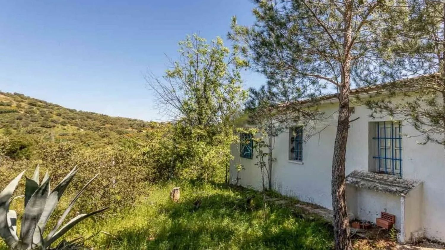 Casas o chalets-Venta-Valdemorillo-1633978-Foto-8