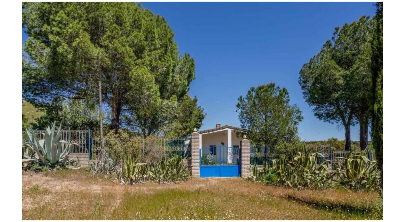 Casas o chalets-Venta-Valdemorillo-1633978-Foto-9