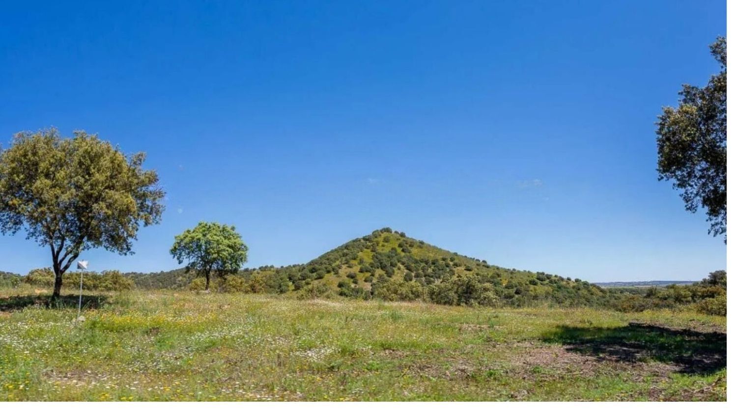 Casas o chalets-Venta-Valdemorillo-1633978-Foto-13