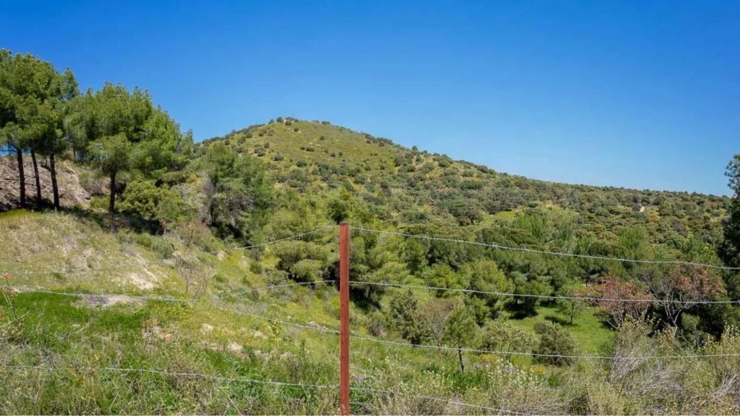 Casas o chalets-Venta-Valdemorillo-1633978-Foto-14