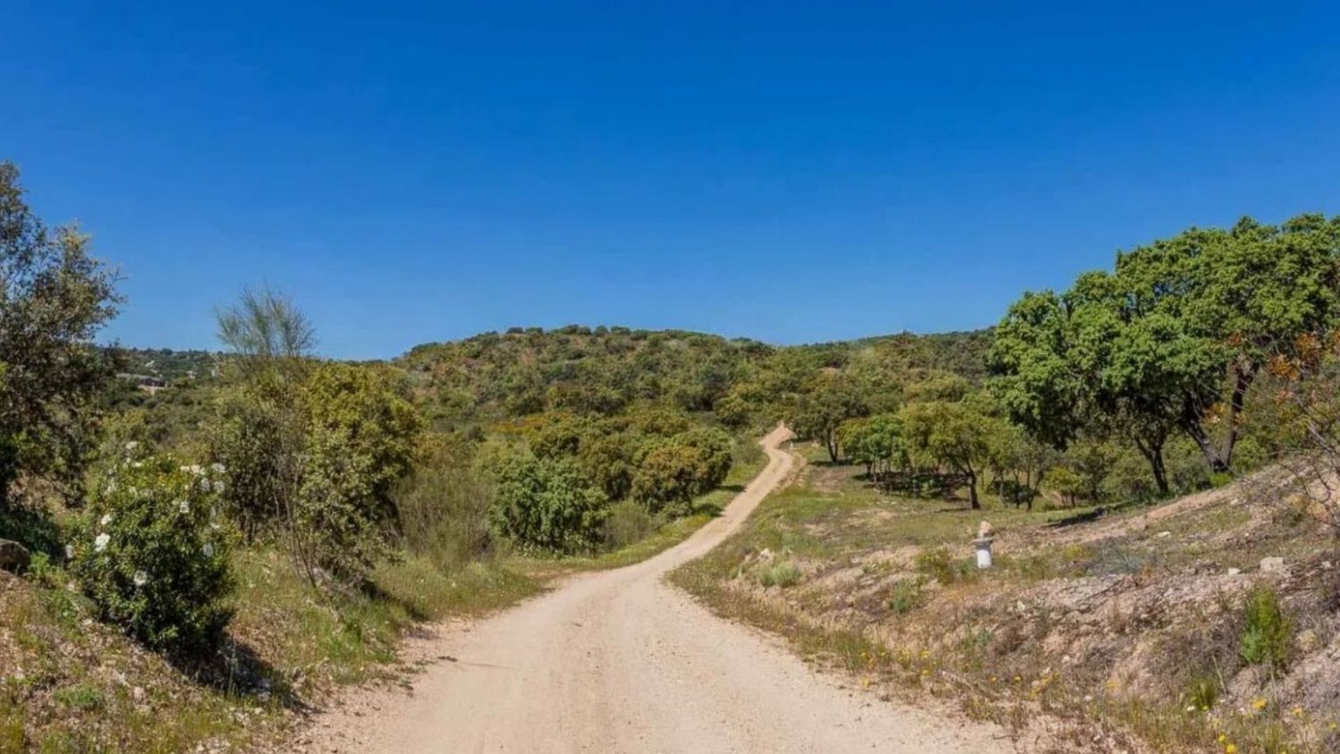 Casas o chalets-Venta-Valdemorillo-1633978-Foto-15