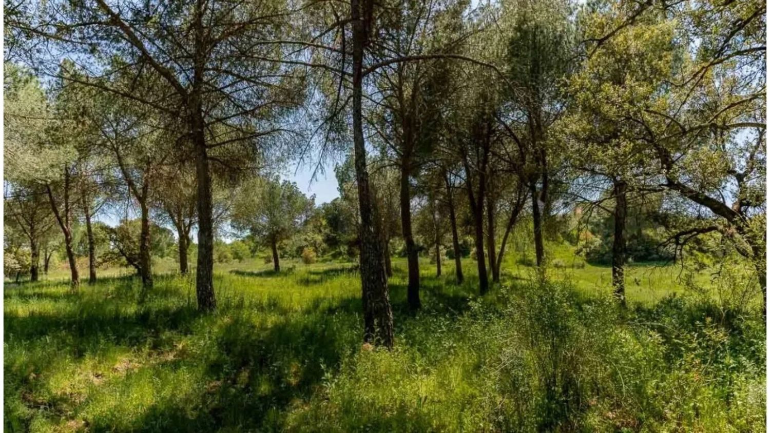 Casas o chalets-Venta-Valdemorillo-1633978-Foto-16