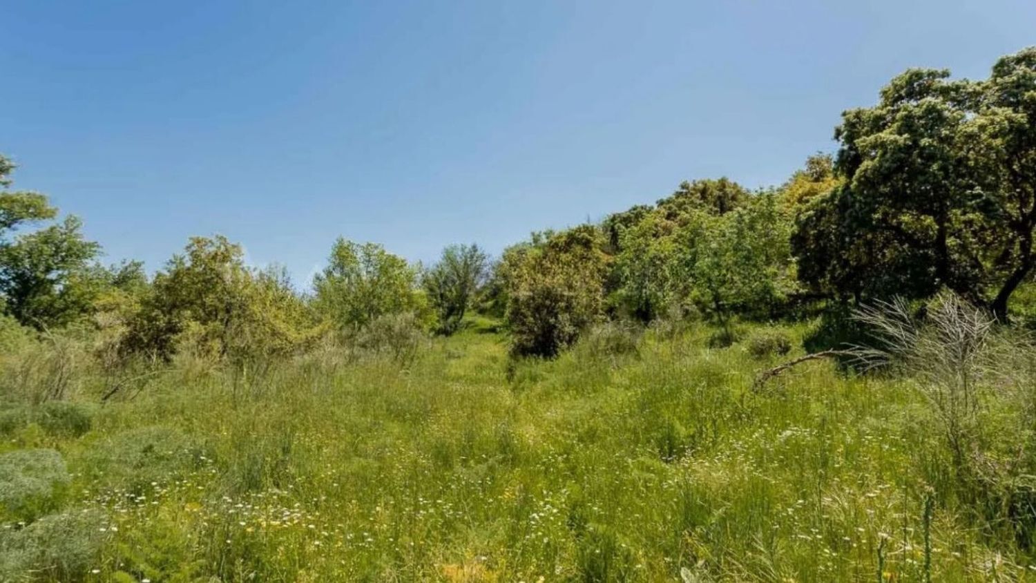 Casas o chalets-Venta-Valdemorillo-1633978-Foto-17