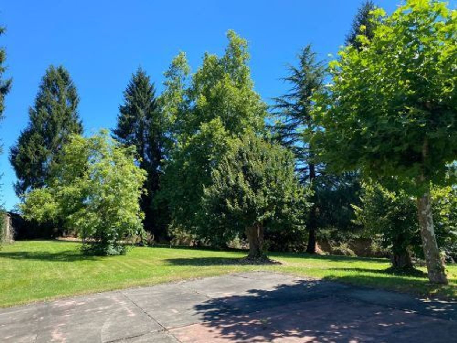 Edificios-Venta-Oviedo-561824-Foto-10