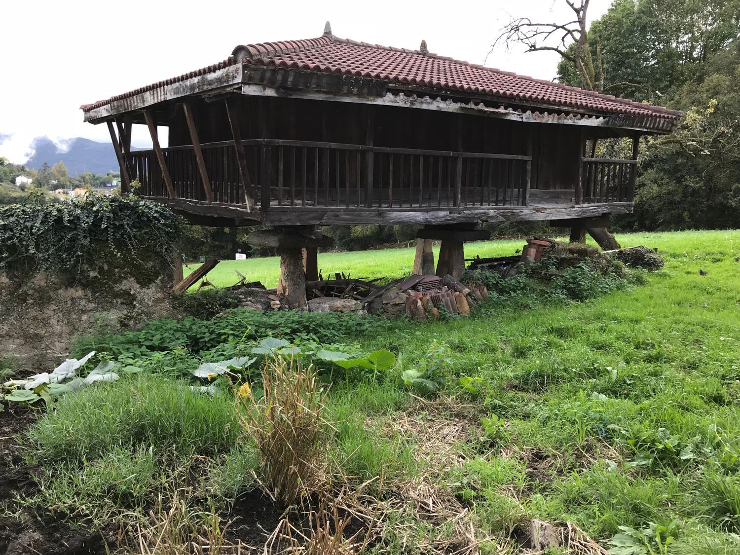 Edificios-Venta-Oviedo-561824-Foto-58