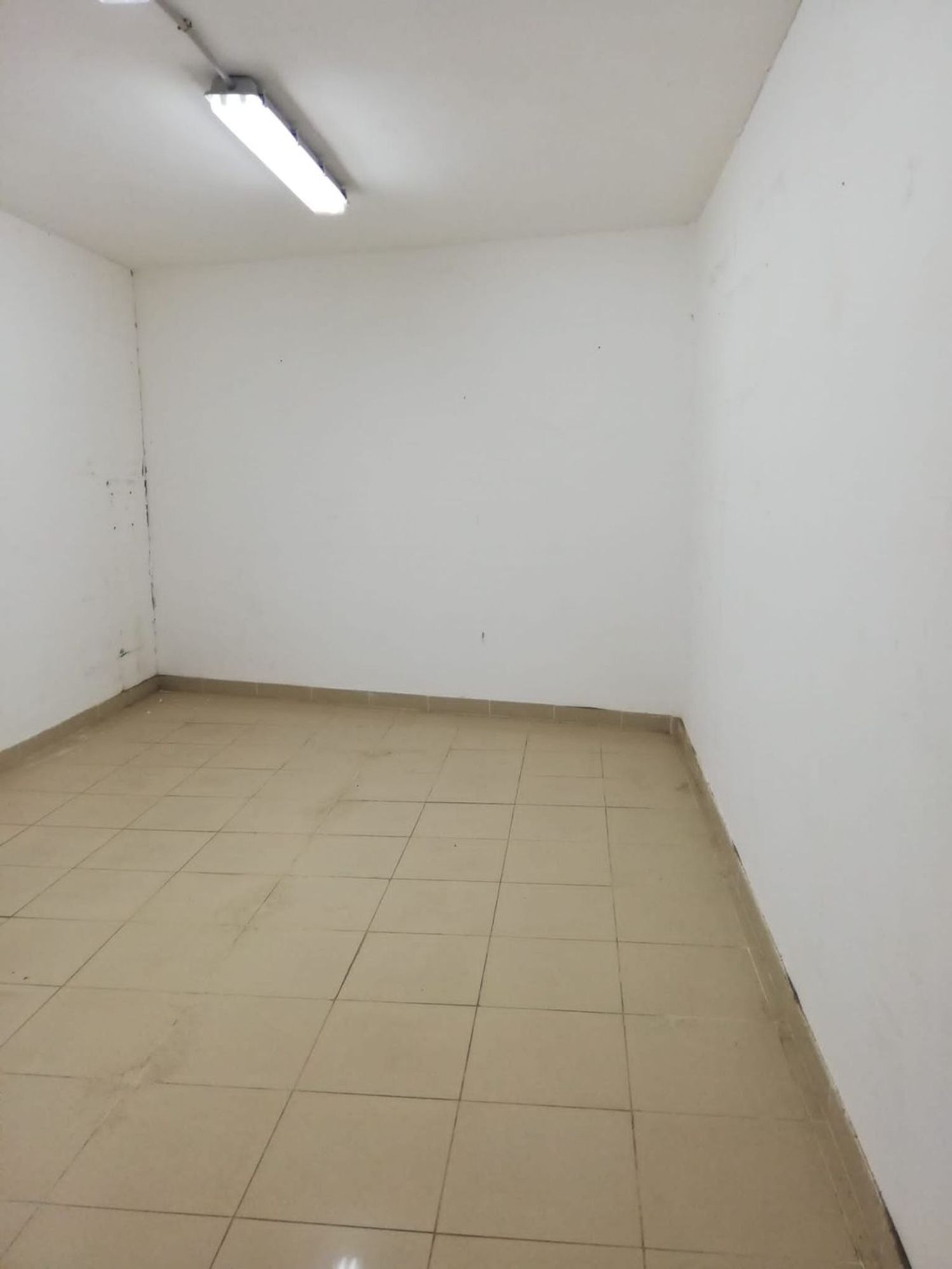Naves-Venta-Las Palmas de Gran Canaria-877493-Foto-24
