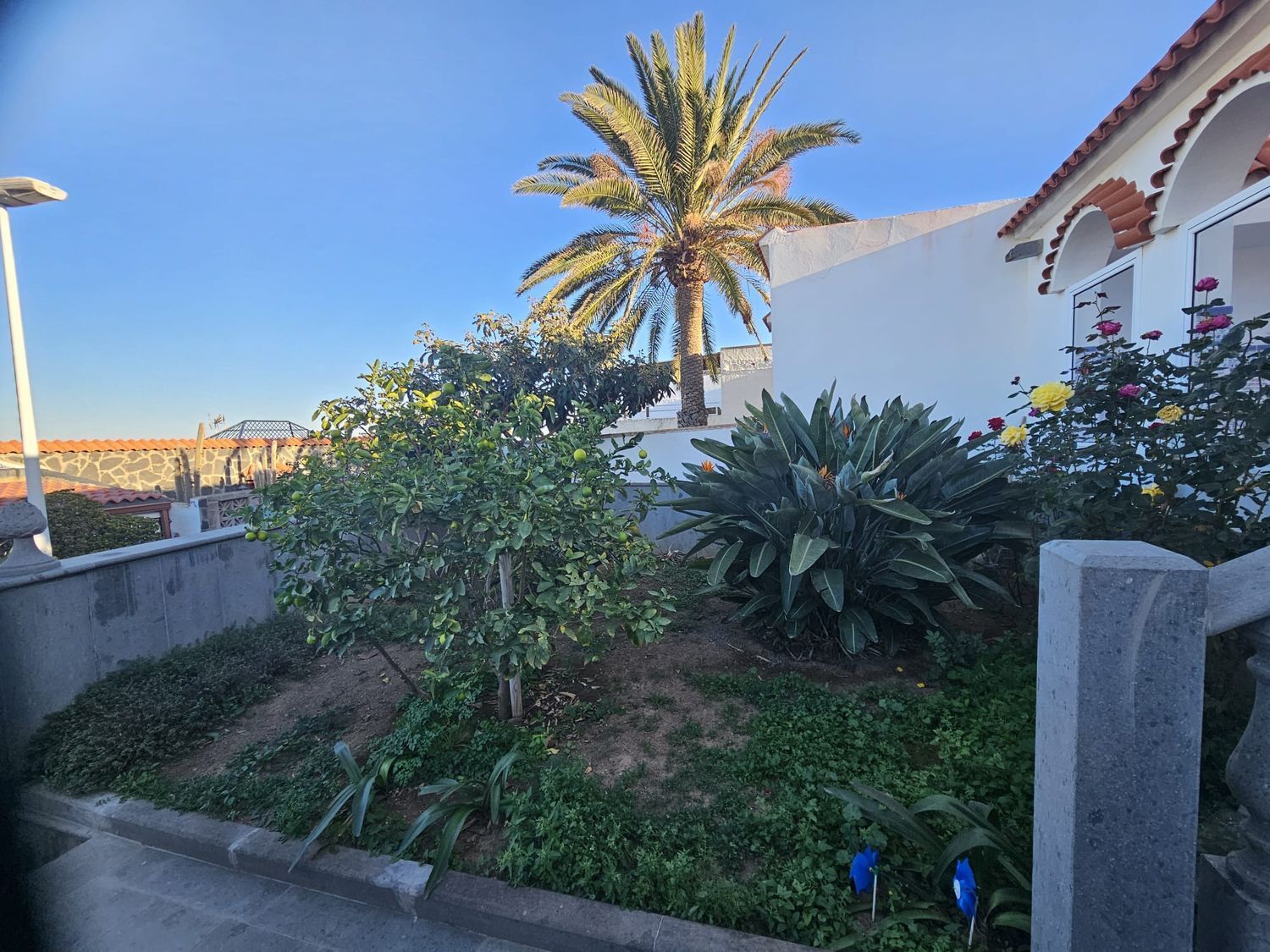 Casas o chalets-Venta-Telde-1652844-Foto-4