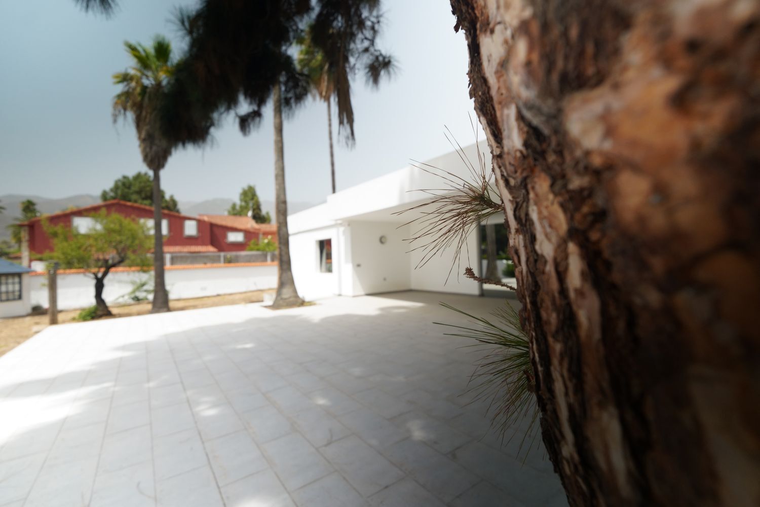 Casas o chalets-Venta-Valsequillo de Gran Canaria-1834389-Foto-4