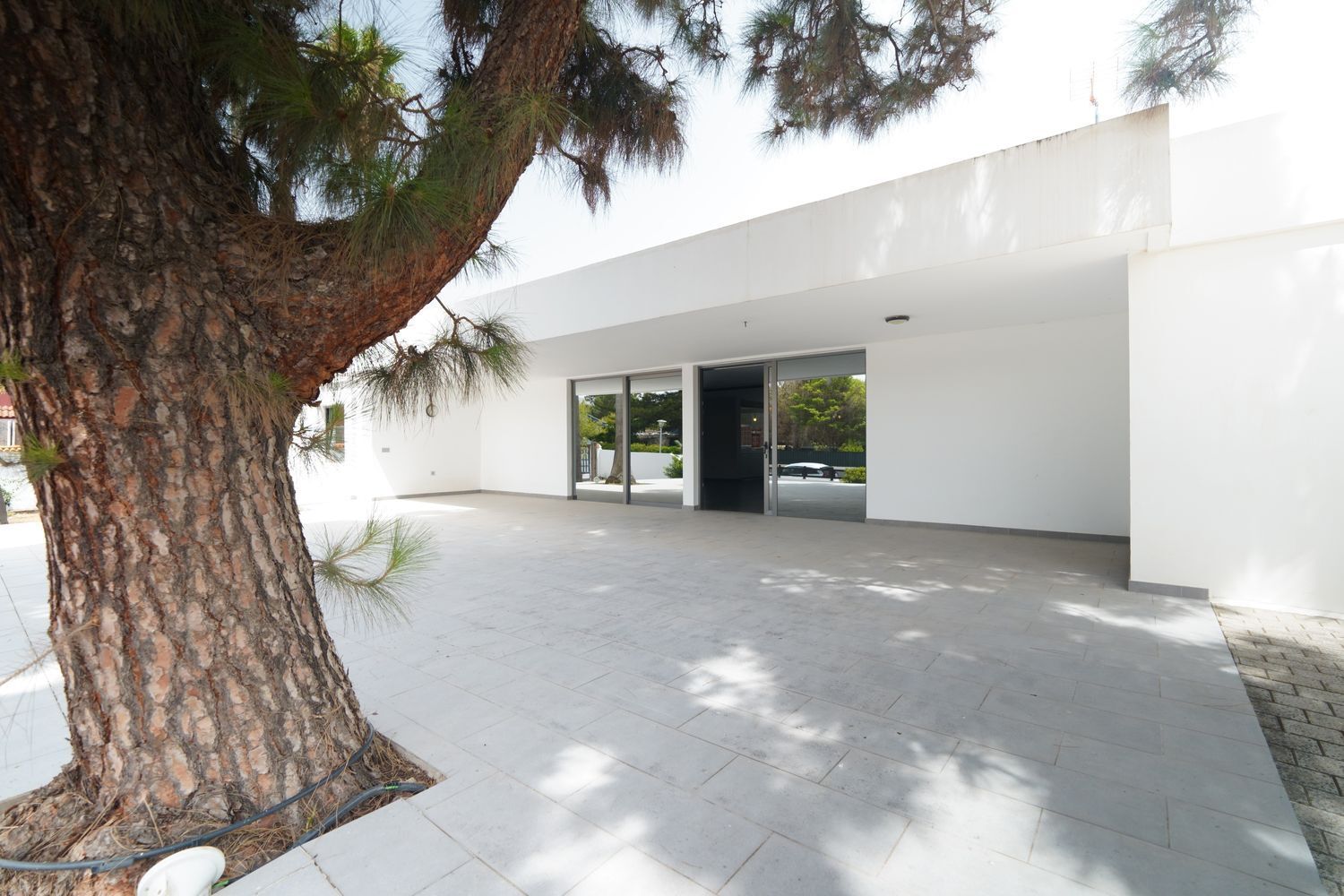 Casas o chalets-Venta-Valsequillo de Gran Canaria-1834389-Foto-3