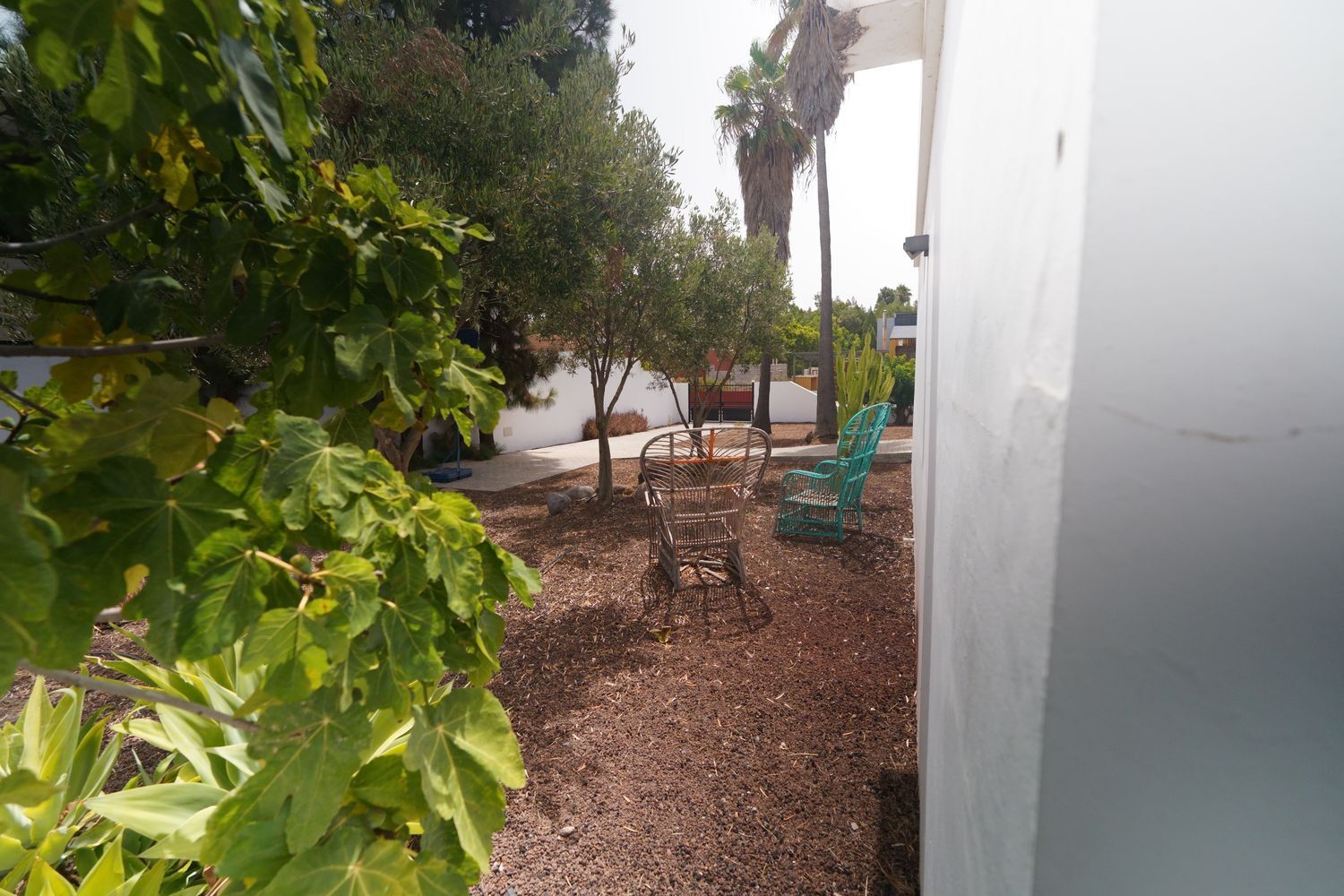 Casas o chalets-Venta-Valsequillo de Gran Canaria-1834389-Foto-10