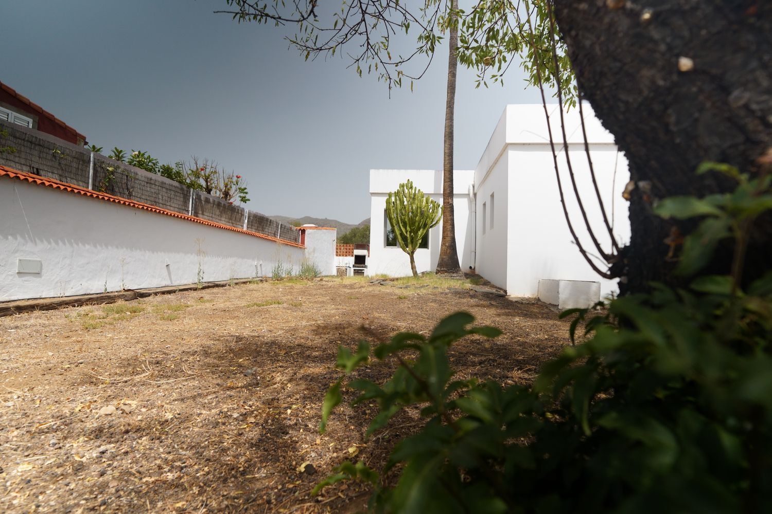 Casas o chalets-Venta-Valsequillo de Gran Canaria-1834389-Foto-16