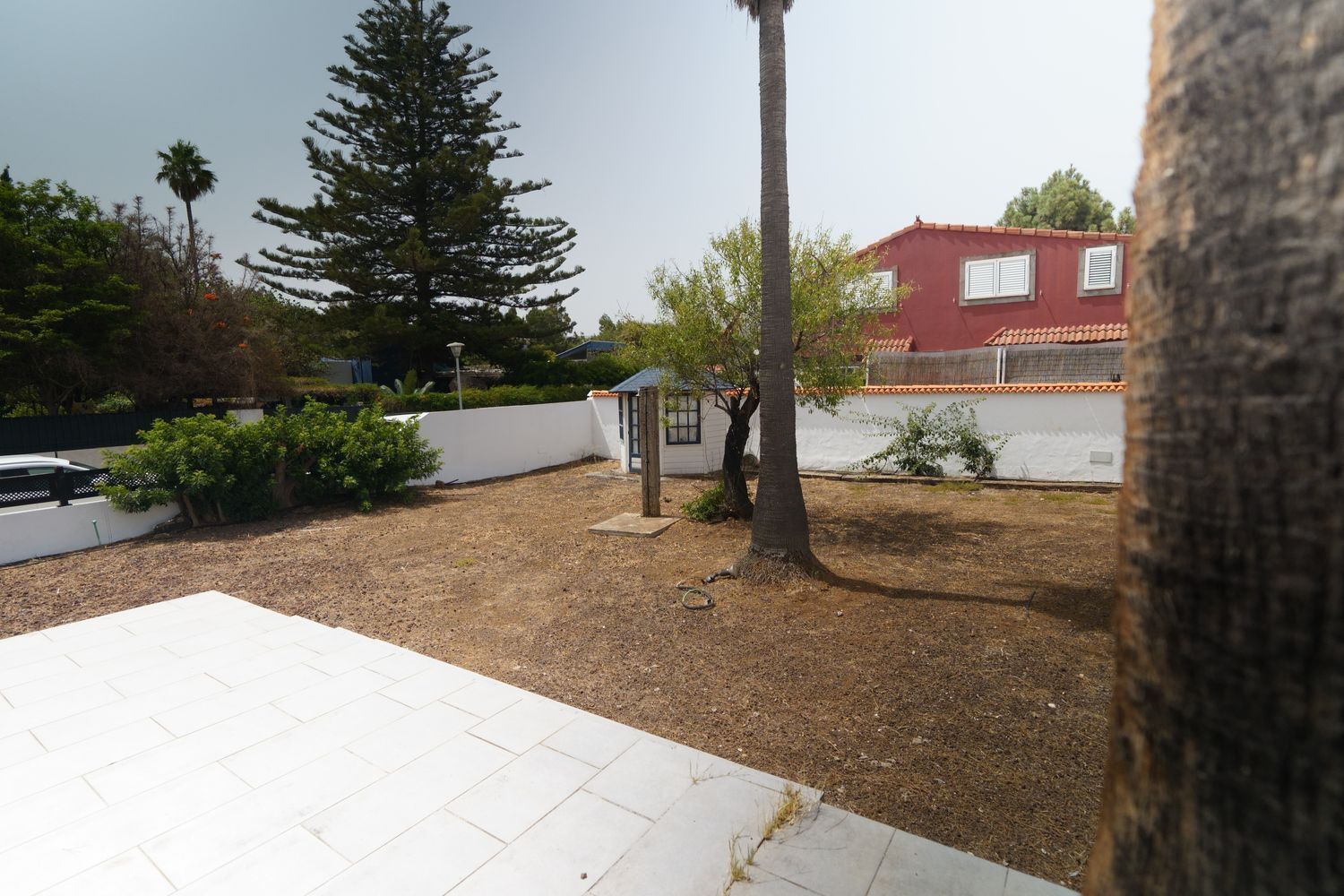 Casas o chalets-Venta-Valsequillo de Gran Canaria-1834389-Foto-15