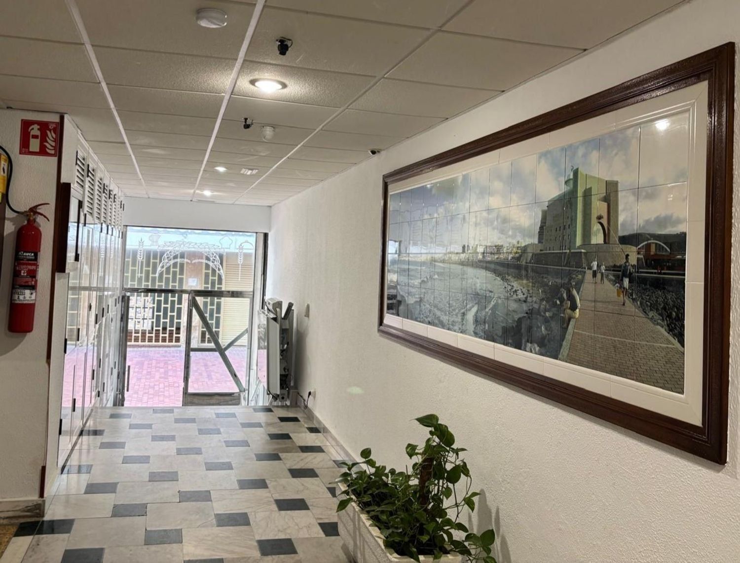 Pisos-Alquiler-Las Palmas de Gran Canaria-1834861-Foto-3