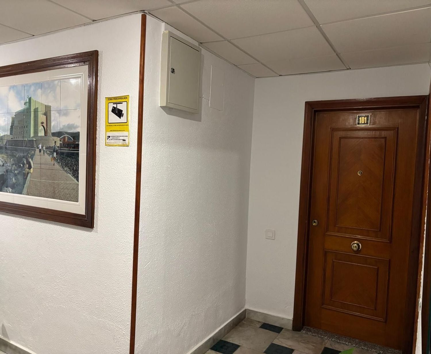 Pisos-Alquiler-Las Palmas de Gran Canaria-1834861-Foto-4